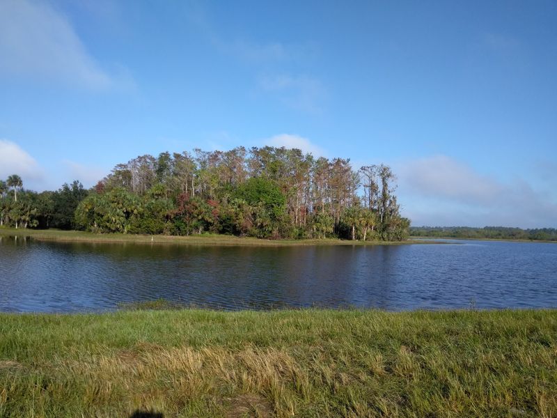 Harns Marsh, Fort Myers, FL Harns Marsh, Fort Myers, FL