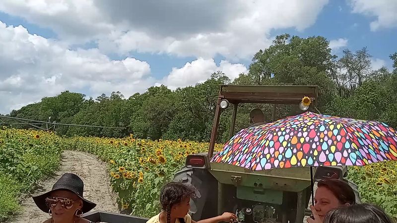 Hayrides and a Playground Packed With Games