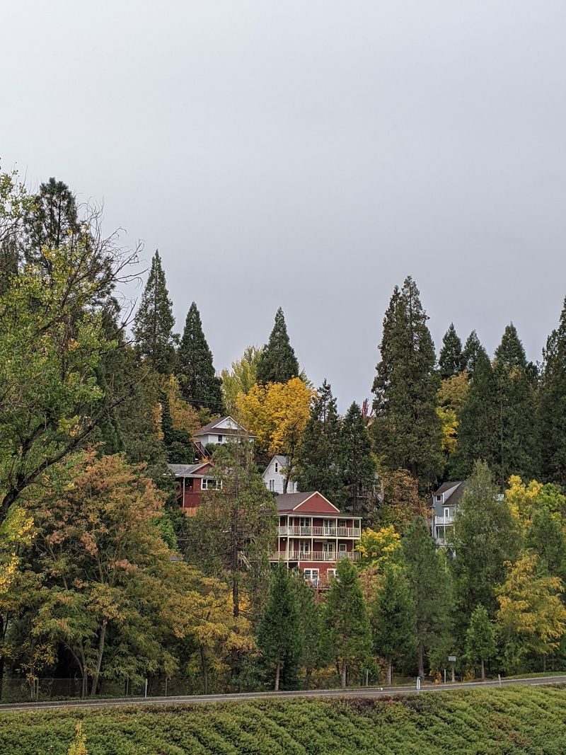 Hills, Pines, and Winding Streets