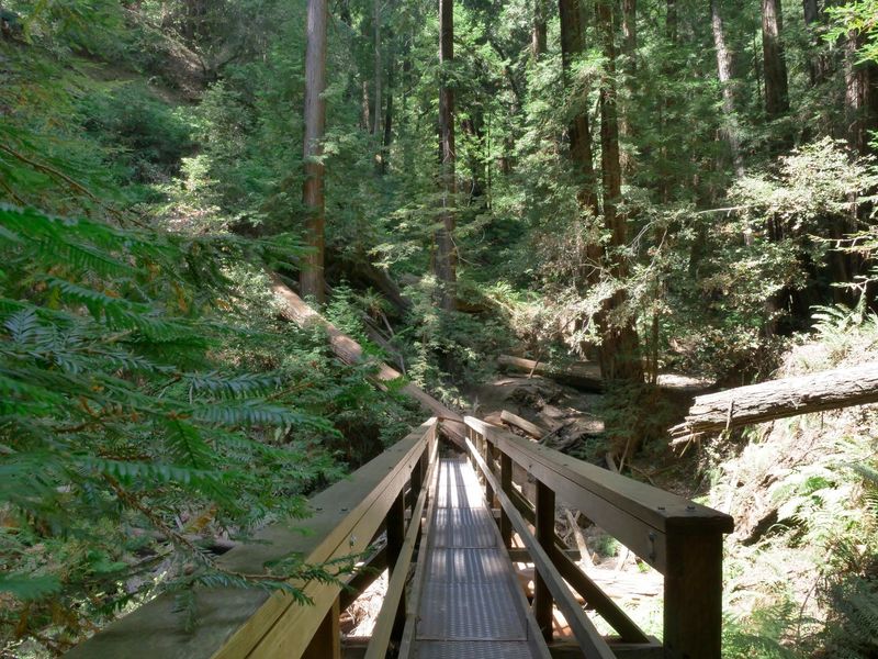 Hillside Trail and Higher Paths Hillside Trail and Higher Paths