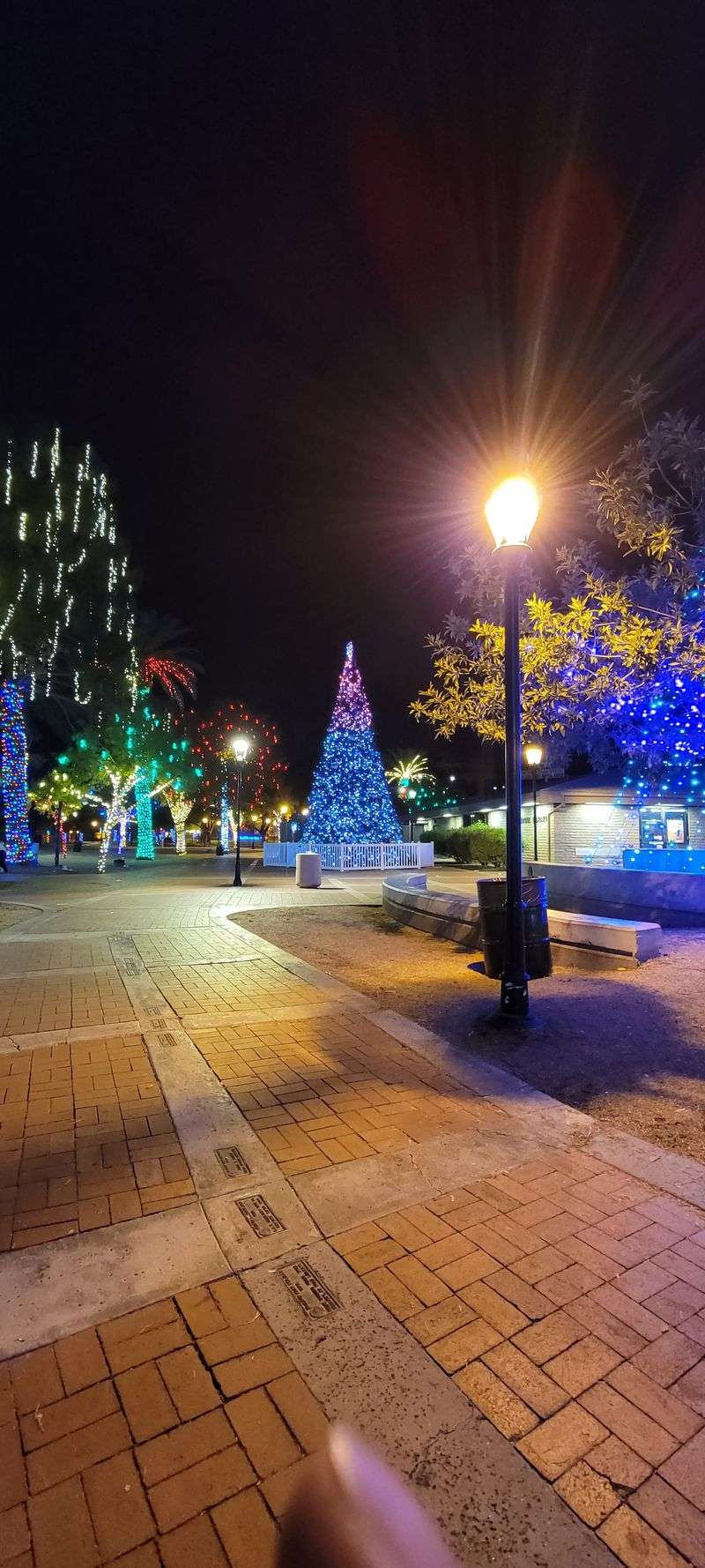 Holiday Lights and Glendale Glitters Memories Holiday Lights and Glendale Glitters Memories