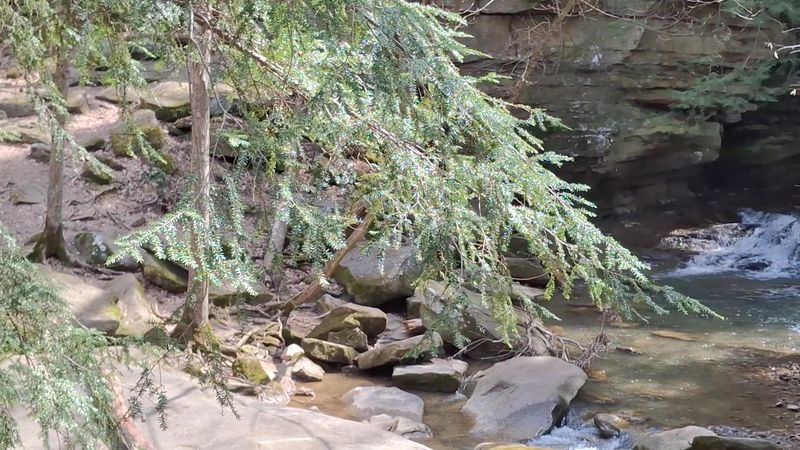 Honey Run Waterfall, Howard, OH Honey Run Waterfall, Howard, OH