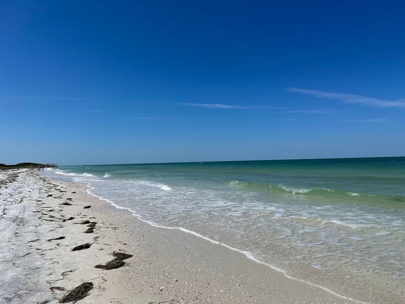 Honeymoon Island State Park, Dunedin, FL Honeymoon Island State Park, Dunedin, FL
