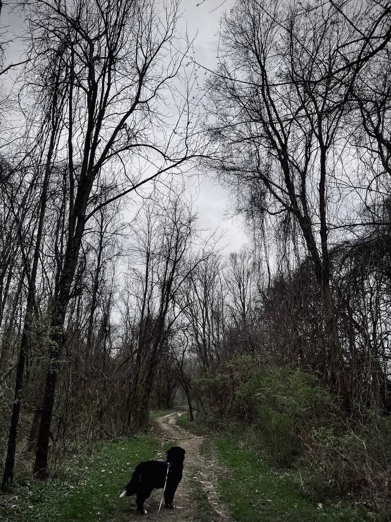 Hoofbeats on the Horse Trails Hoofbeats on the Horse Trails