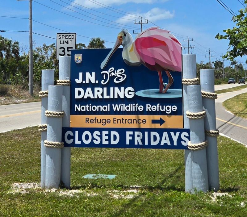Hours, Fees, and a Friday Warning Hours, Fees, and a Friday Warning