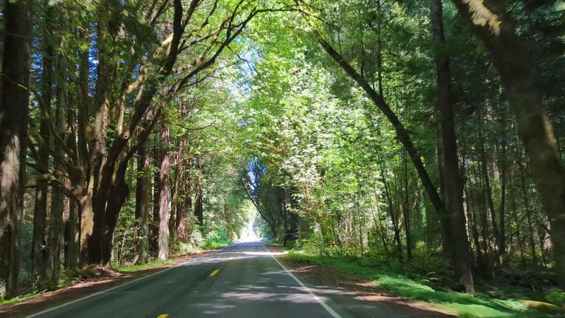 How an Old Highway Became a Treasure
