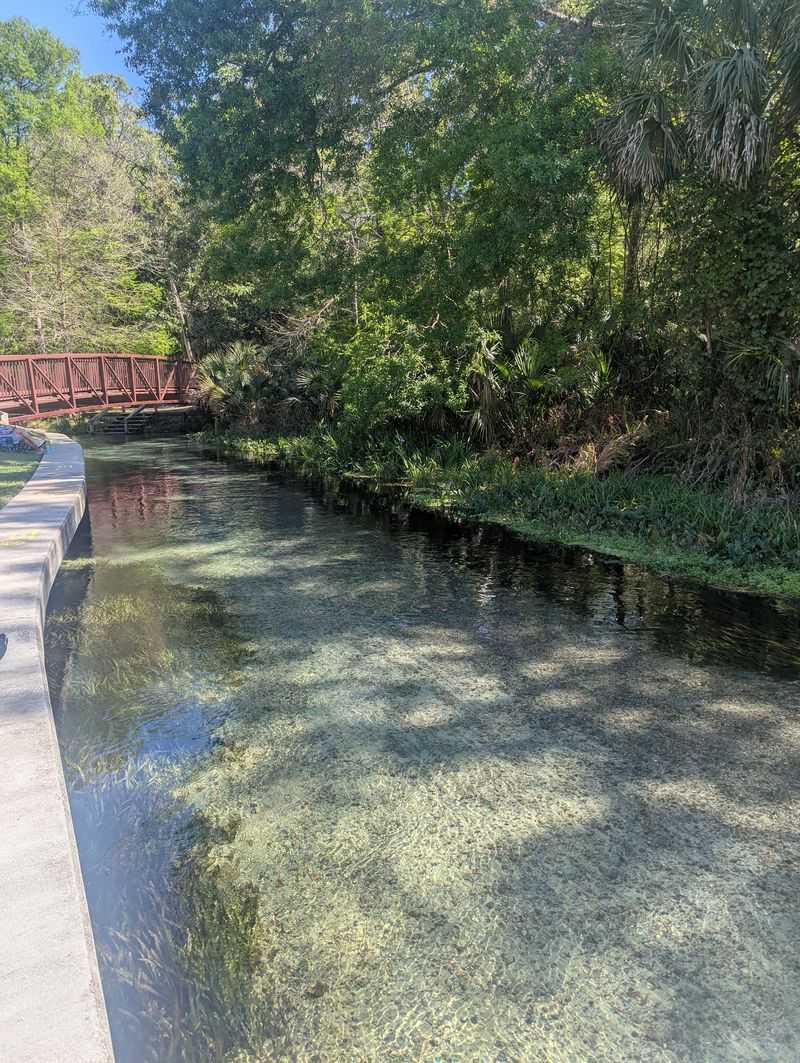 How the Natural Lazy River Works