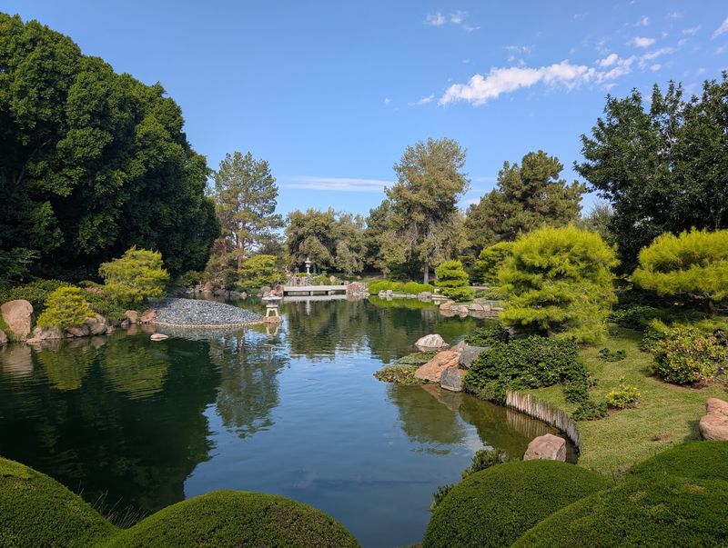 Hundreds of Koi and a Few Feathered Friends