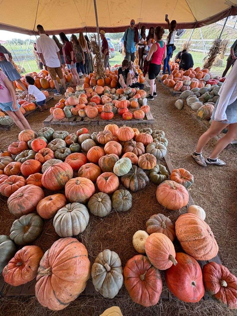 Hunsader Farms, Bradenton, FL