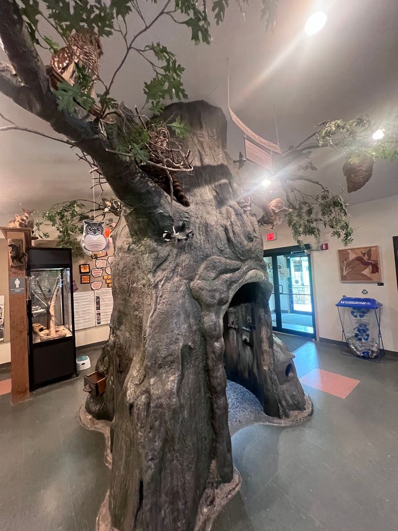 Inside the Nature Center Inside the Nature Center