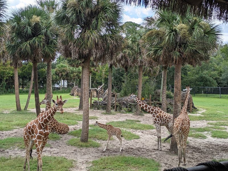 Jacksonville Zoo and Botanical Gardens, Jacksonville, FL