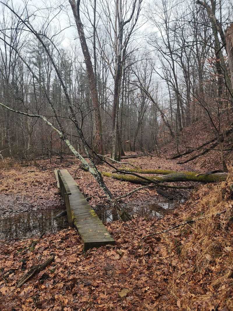 Jumping Creek Beds and Technical Ground Jumping Creek Beds and Technical Ground