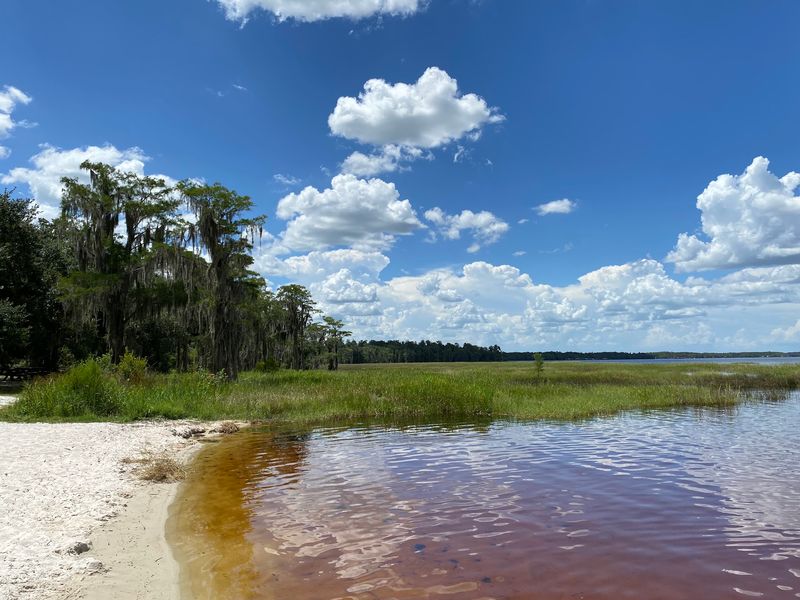 Lake Louisa State Park, Clermont, FL Lake Louisa State Park, Clermont, FL