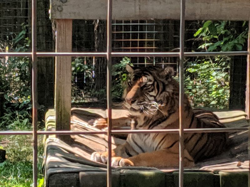 Letting the Animals Choose Letting the Animals Choose