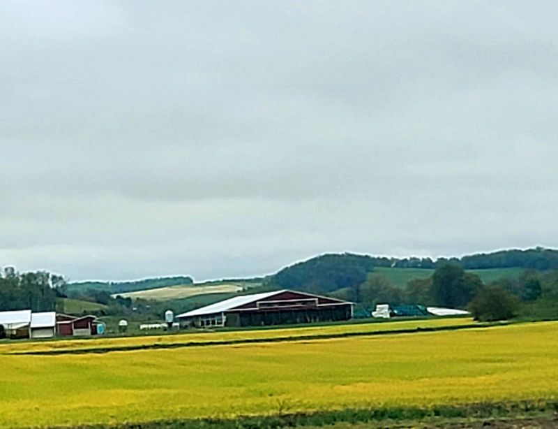 Life Inside Ohio Amish Country