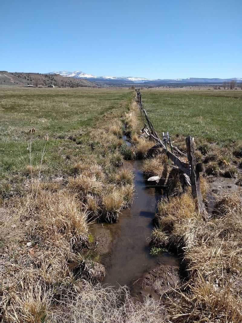 Life in the Shasta Cascade