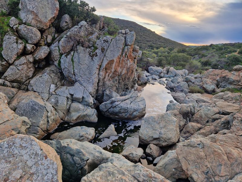 Los Penasquitos Canyon County Preserve, San Diego, CA Los Penasquitos Canyon County Preserve, San Diego, CA