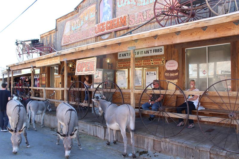 Main Street Belongs to Long Ears Main Street Belongs to Long Ears