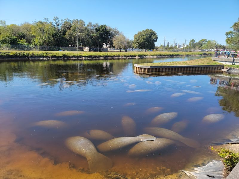 Manatee Park, Fort Myers, FL Manatee Park, Fort Myers, FL