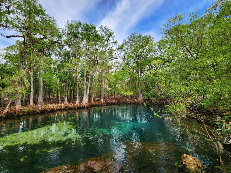 Manatee Springs State Park, Chiefland, FL Manatee Springs State Park, Chiefland, FL