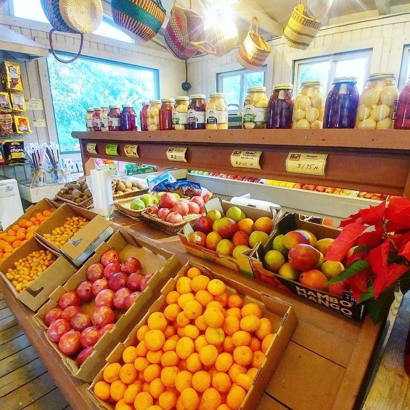 Mandarins, Lavender, and Other Surprises Mandarins, Lavender, and Other Surprises