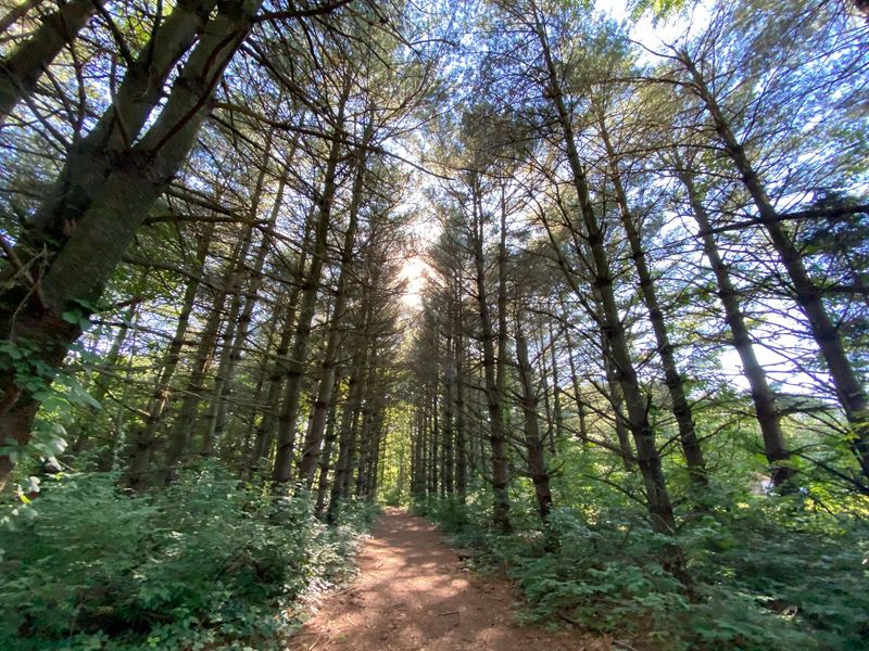 Miles of Trails for Every Pace Miles of Trails for Every Pace