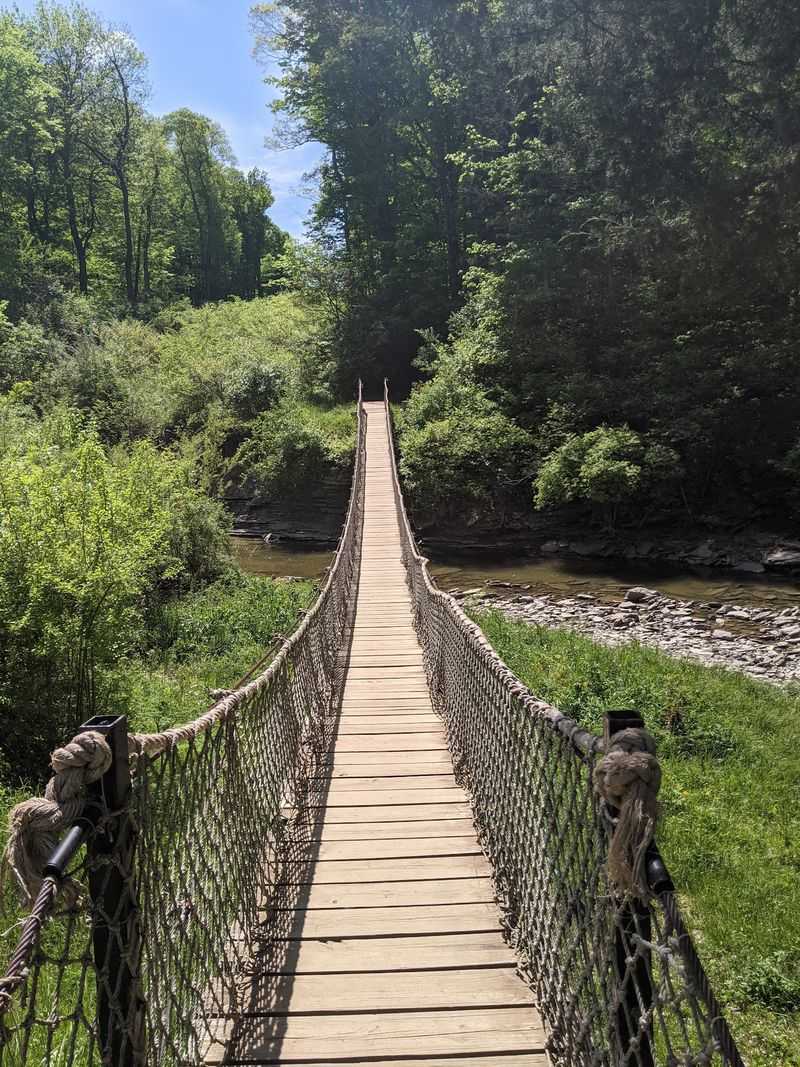 Miles of Trails for Every Pace Miles of Trails for Every Pace