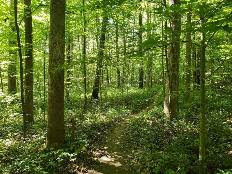 Miles of Winding Single Track Miles of Winding Single Track