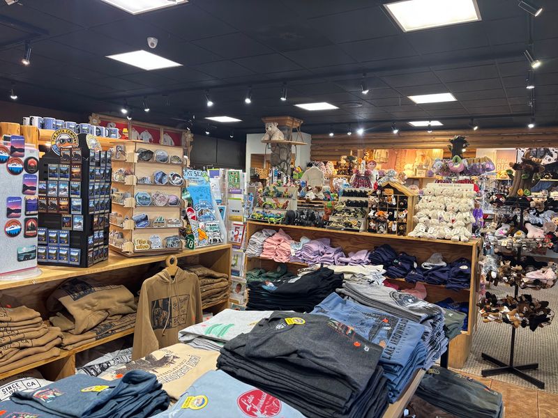 Mom-and-Pop Shops and a Toy Store Favorite