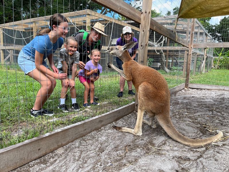 Moore Exotic Animal Ranch, Riverview, FL Moore Exotic Animal Ranch, Riverview, FL