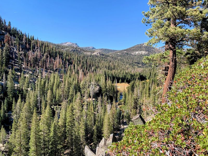 Mountain Air and Altitude Smarts