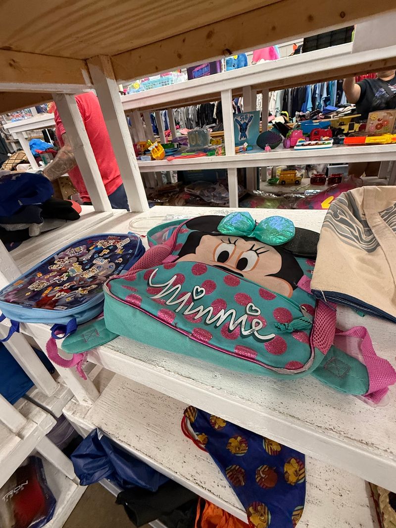 Mouse Ears at Thrift Prices