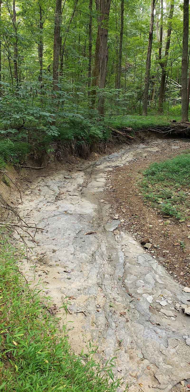 Mud, Wind, and Weather Surprises Mud, Wind, and Weather Surprises