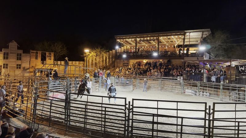Mutton Busting Steals the Show