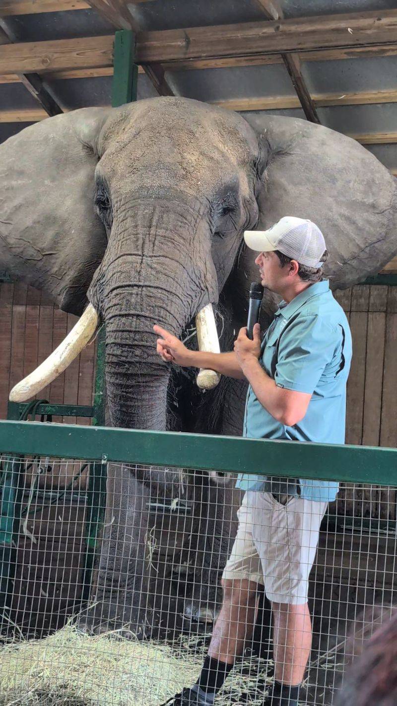 Myakka Elephant Ranch, Myakka City, FL Myakka Elephant Ranch, Myakka City, FL
