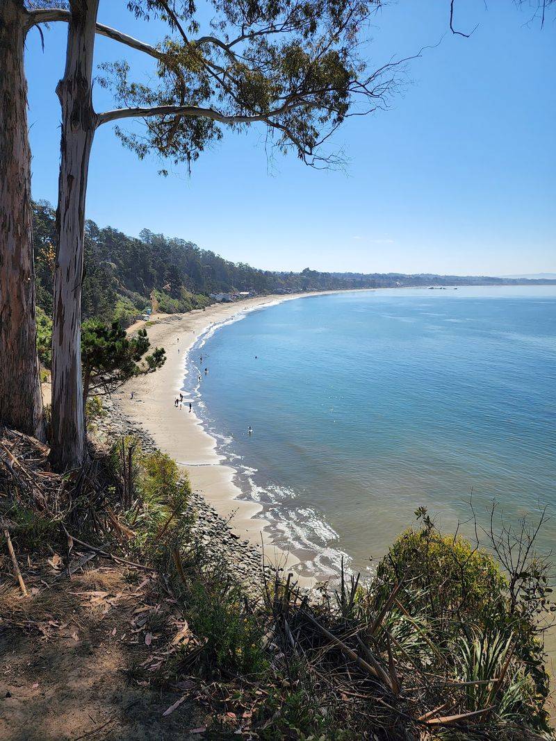 New Brighton State Beach