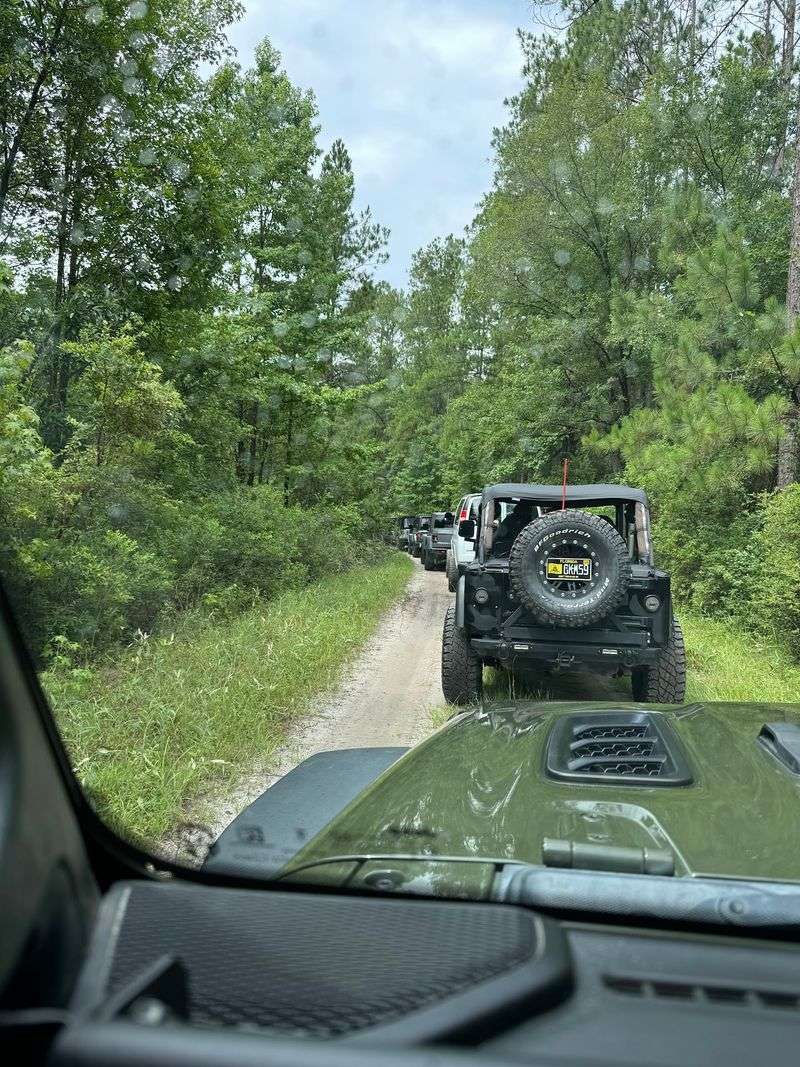 Off-Road Fun in the Woods Off-Road Fun in the Woods