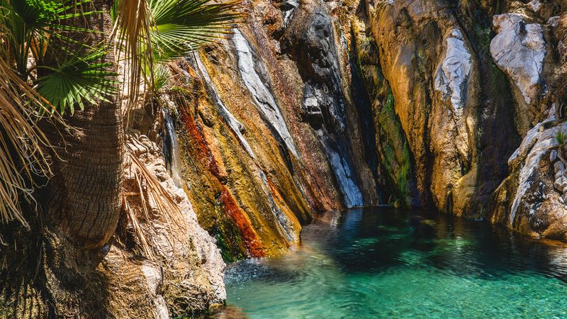 Old Springs, Famous Guests
