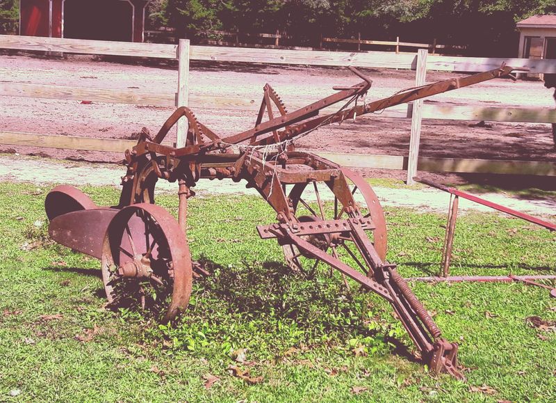 Old Tractors and Other Surprises Old Tractors and Other Surprises