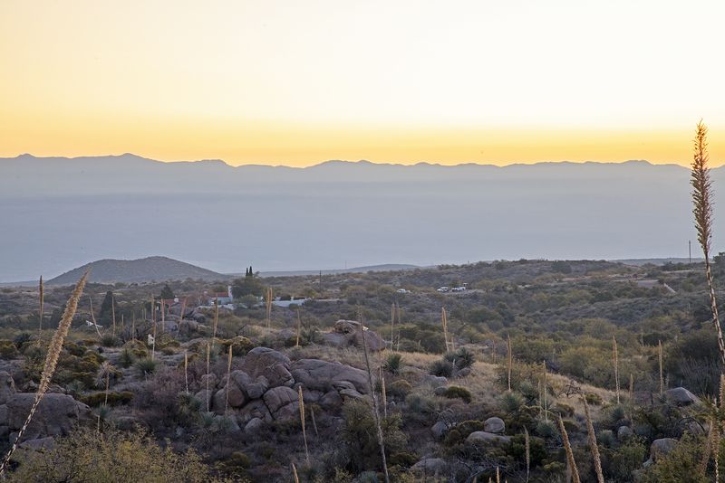 Oracle State Park, Oracle, AZ Oracle State Park, Oracle, AZ