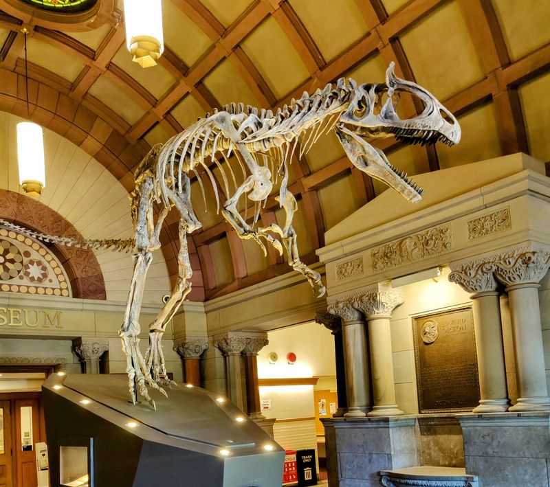 Orton Geological Museum, Columbus, OH