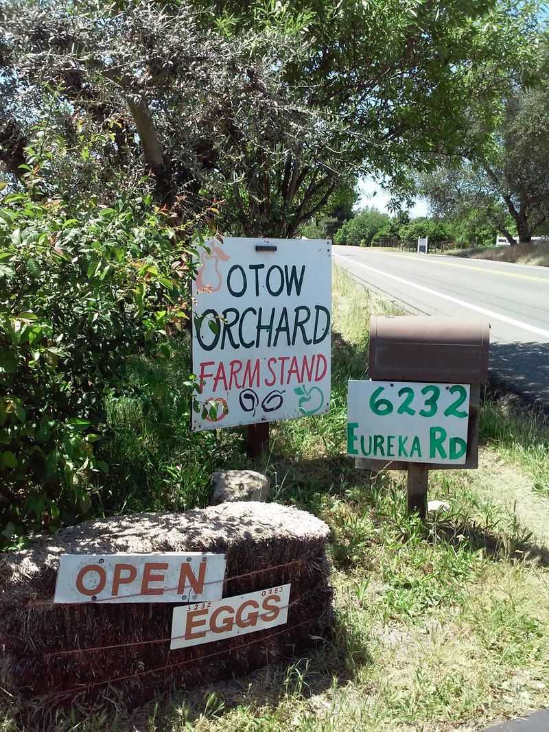 Otow Orchard, Granite Bay, CA