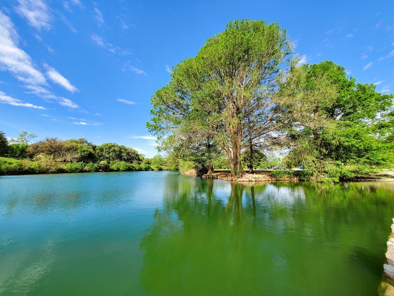 Paddles Up on Calm Water Paddles Up on Calm Water