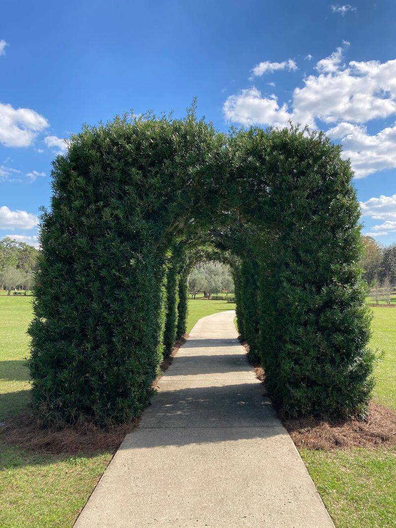 Paths Made for Easy Strolling