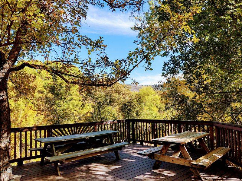Patios, Porches, and a Big Shade Tree Patios, Porches, and a Big Shade Tree