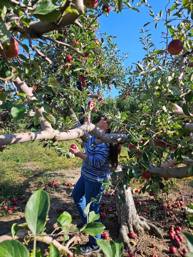 Pay By The Pound, Pick Your Own Pay By The Pound, Pick Your Own