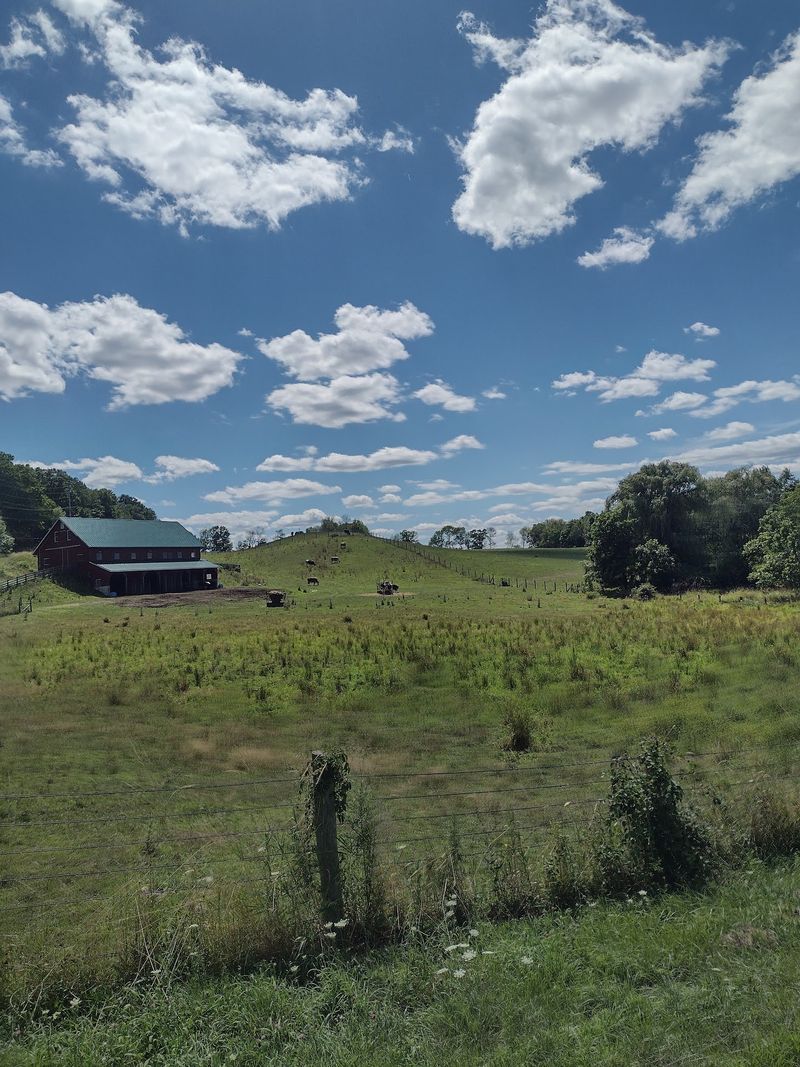 Peace, Quiet and Plenty of Pasture