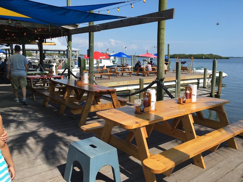 Pelicans, Picnic Tables and New Friends Pelicans, Picnic Tables and New Friends