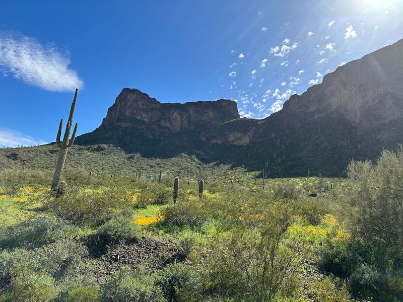 Picacho Peak Picacho Peak