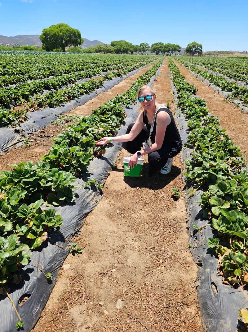 Pick Your Own, Season by Season Pick Your Own, Season by Season